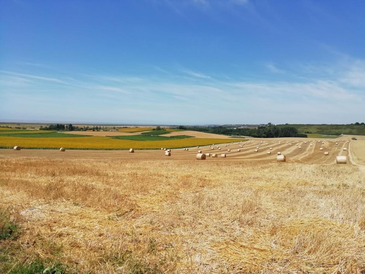 Chateau Des Salles Saint-Fort-sur-Gironde Luaran gambar