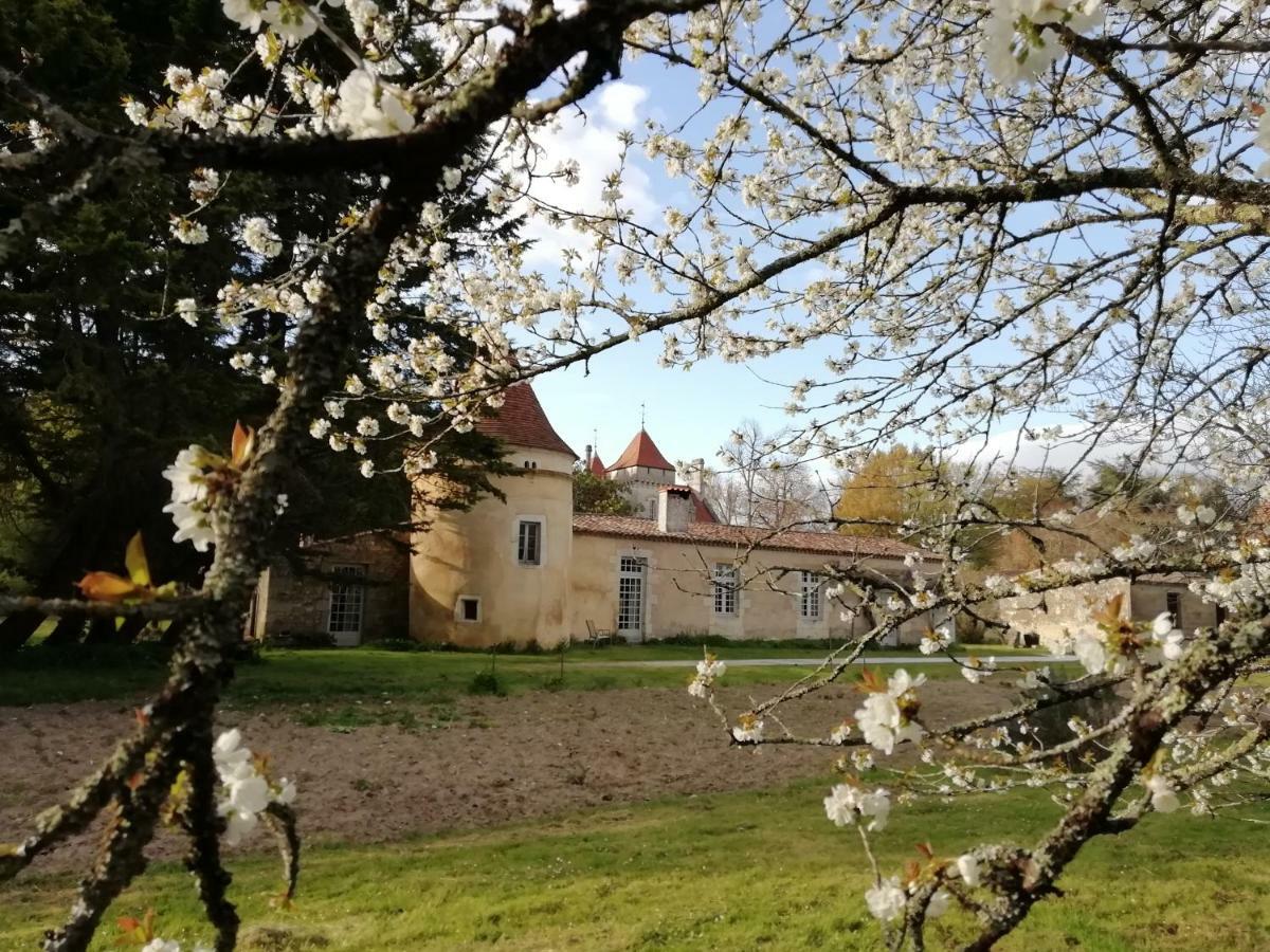 Chateau Des Salles Saint-Fort-sur-Gironde Luaran gambar